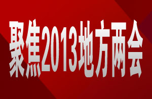 聚焦2013地方两会