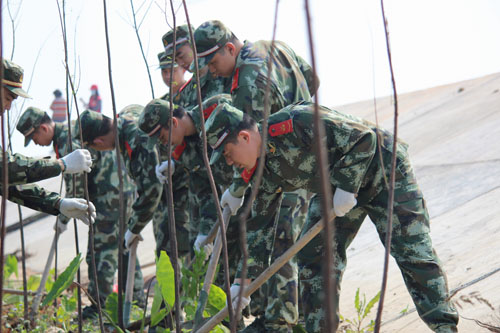 植树节广东边检战士为堤坝穿上绿色防护衣