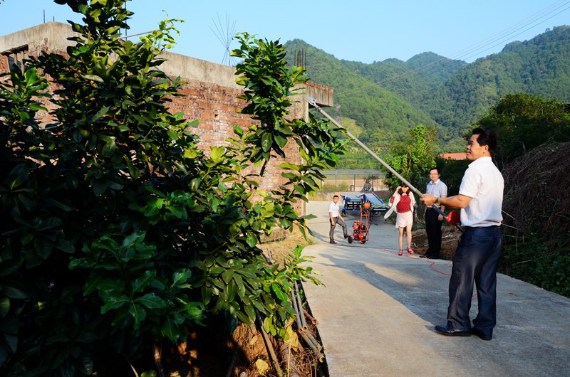 ʹ������ʽ�����޼�����ʹ�����޼�Ч����߼�ʮ����