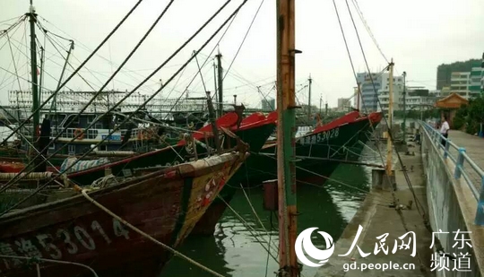 汕头2237艘渔船全部回港避风