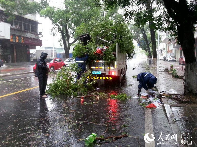 【组图】台风致汕头狂风暴雨内涝树倒 市政抗