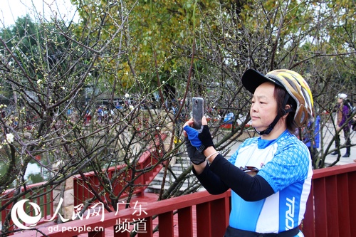 广州香雪文化旅游节开幕 17公交线开通便民赏