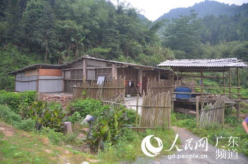 偏僻林场废弃木屋竟为制毒工场 清远惠州警方