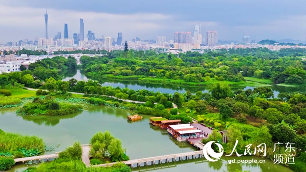 广州走出治污治水与城市湿地保护并举之路