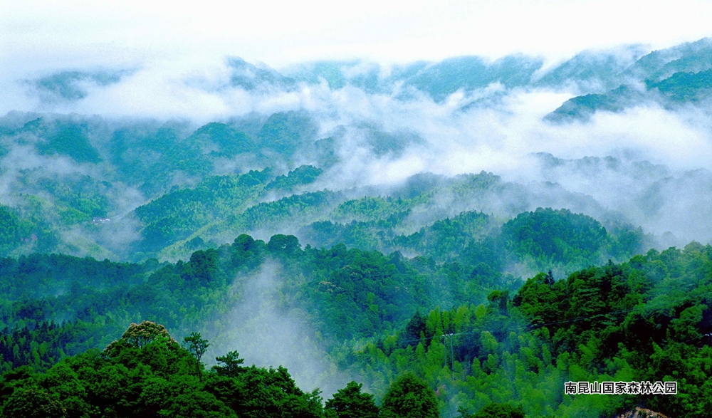风景秀美、青山环绕的惠州南昆山国家森林公园，是国家AAAA级大自然生态旅游景区。