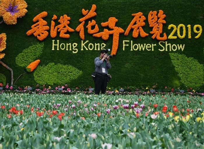 2019年香港花卉展覽將揭幕