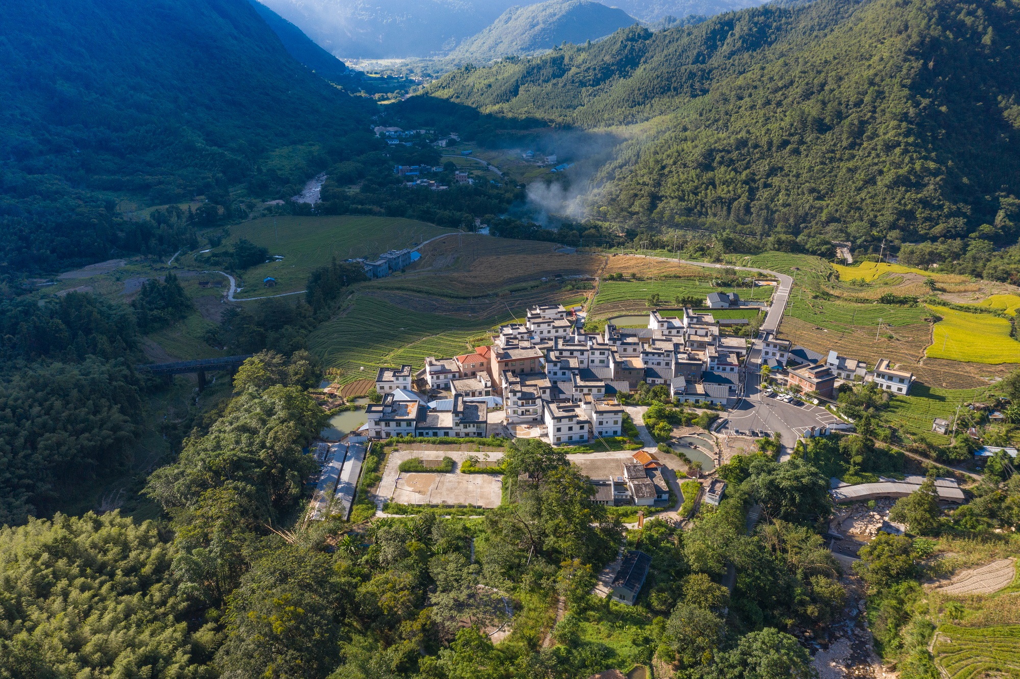 清远市阳山县秤架古树群，古树群面积为45亩，共有299株古树，平均树龄363年，优势树种为檵木、樟树、荷木。供图：广东省林业局