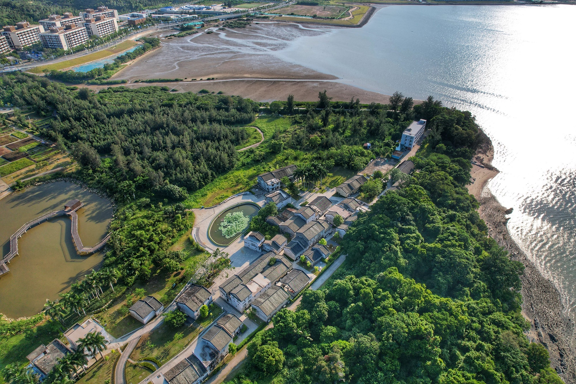 深圳市大鹏新区葵涌古树群，古树群面积为30亩，共有33株古树，平均树龄224年，优势树种为银叶树、金叶树、榕树。供图：广东省林业局