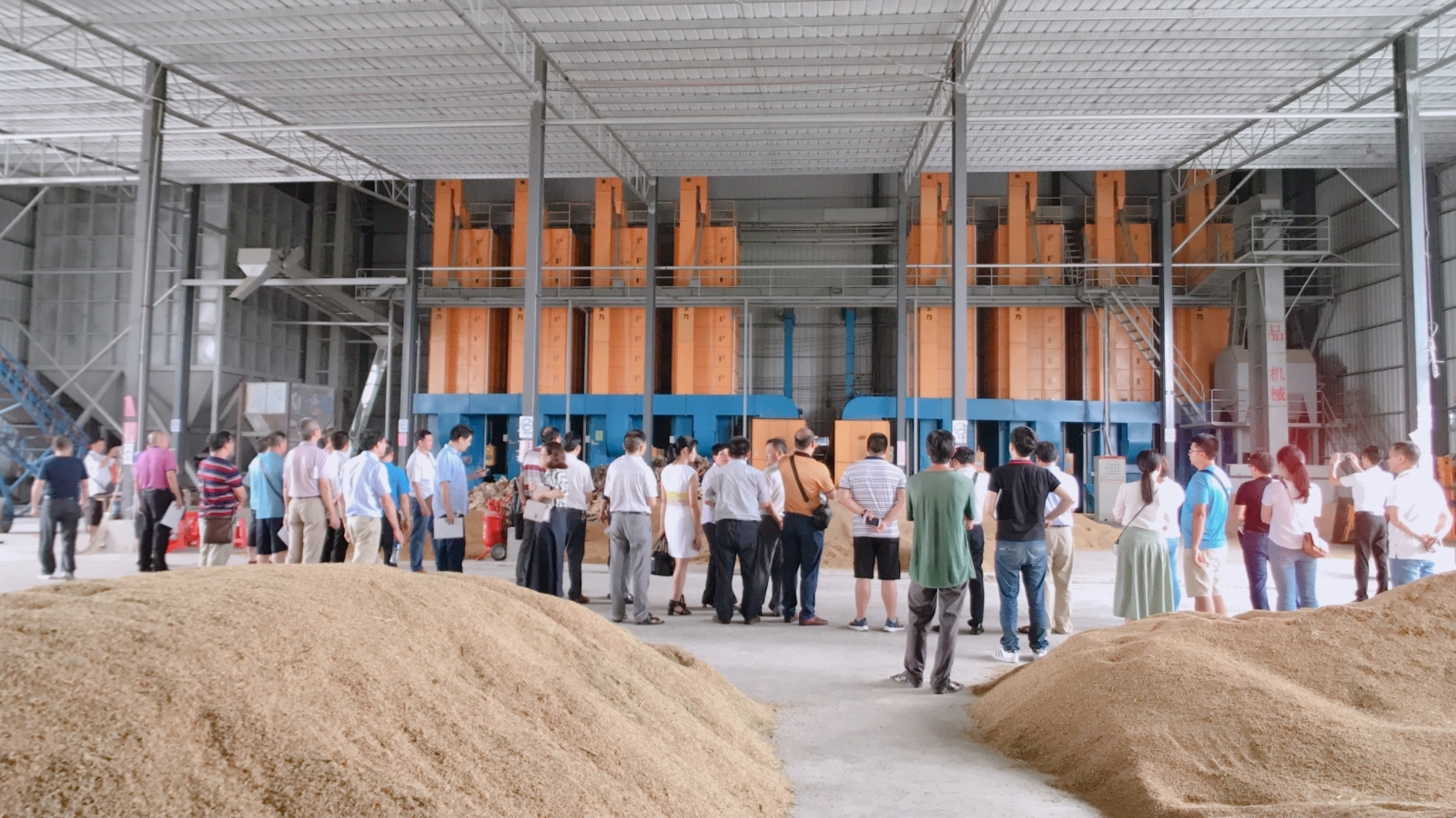 近年来，江门市开平市对农机购入给予政策性支持，并开设烘干培训班培养农民技能。供图：开平市委宣传部