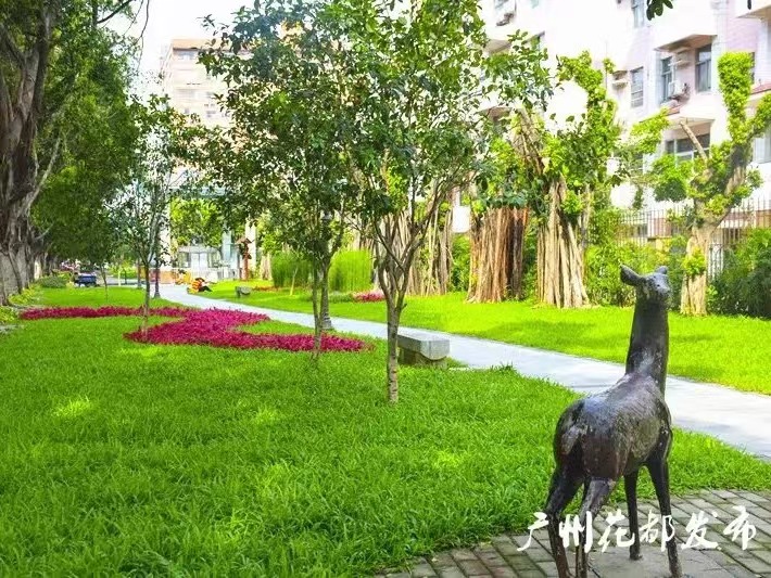 金菊花口袋公园。花都区委宣传部供图