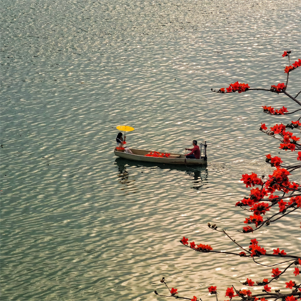 在廣州市增城區湖面，小船、游人、木棉花相映成趣，春光無限好。卞偉峰 攝