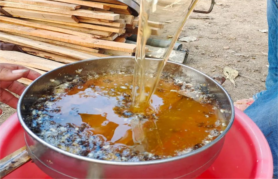 雲吟村傳統產業蜜蜂養殖