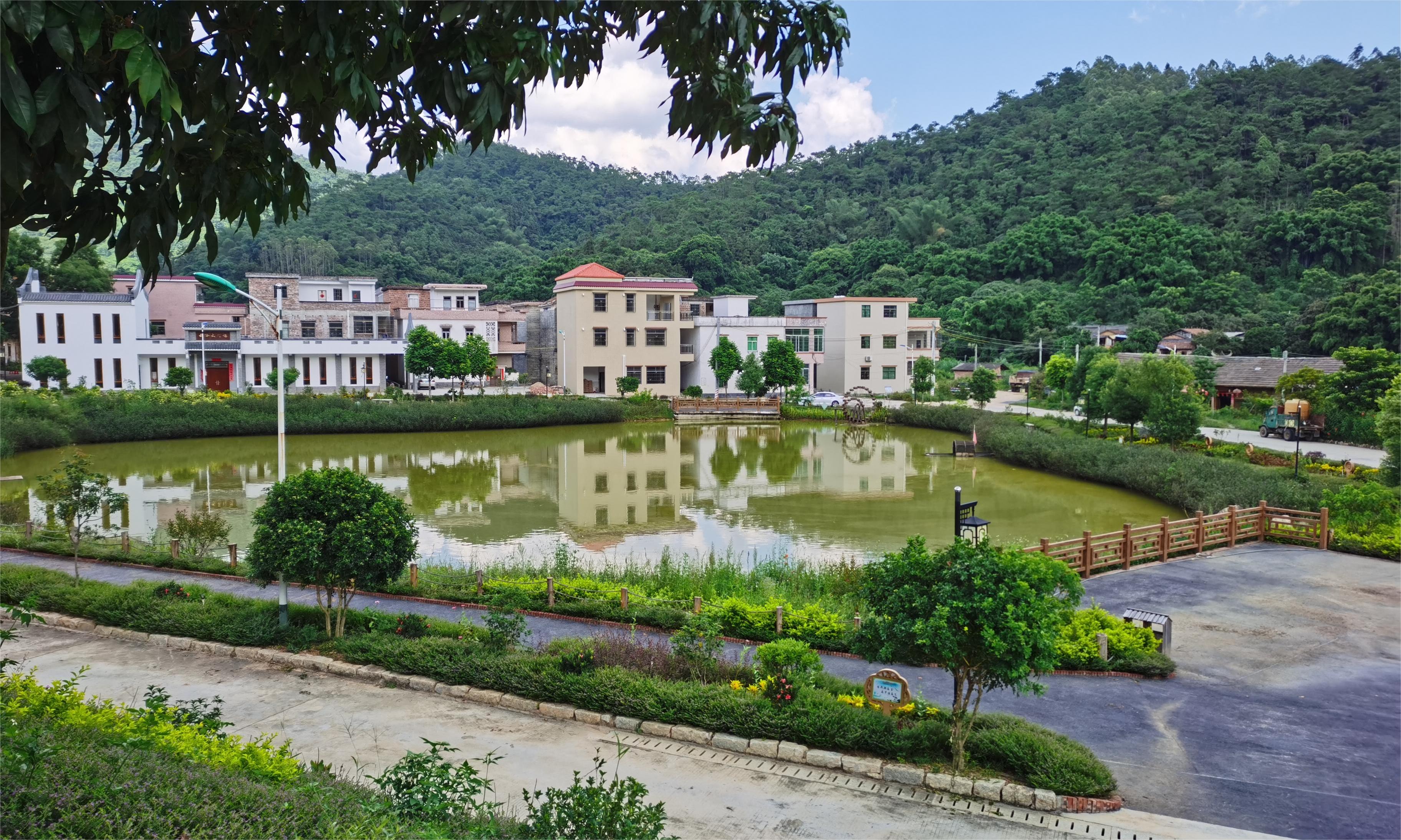 新城镇云吟村观景湖全景