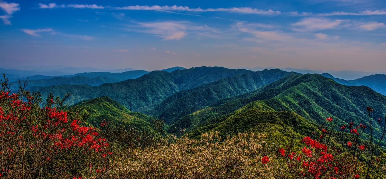 车八岭国家级自然保护区。有“物种宝库，南岭明珠”之称，广东省面积最大的自然保护区之一。图片来源：始兴融媒体中心