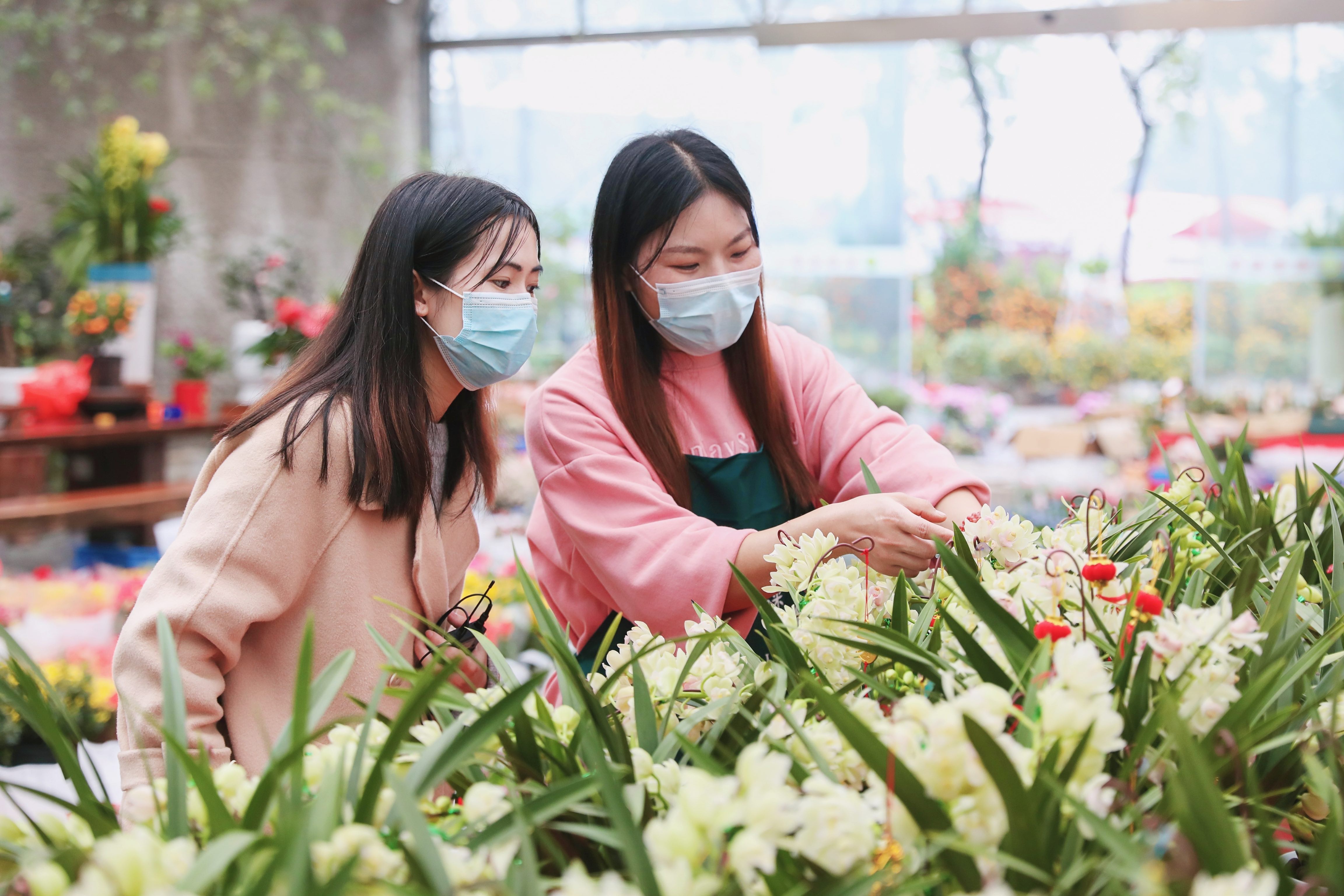 广东组织开展多场广东兰花特色营销活动。荔湾区委宣传部供图