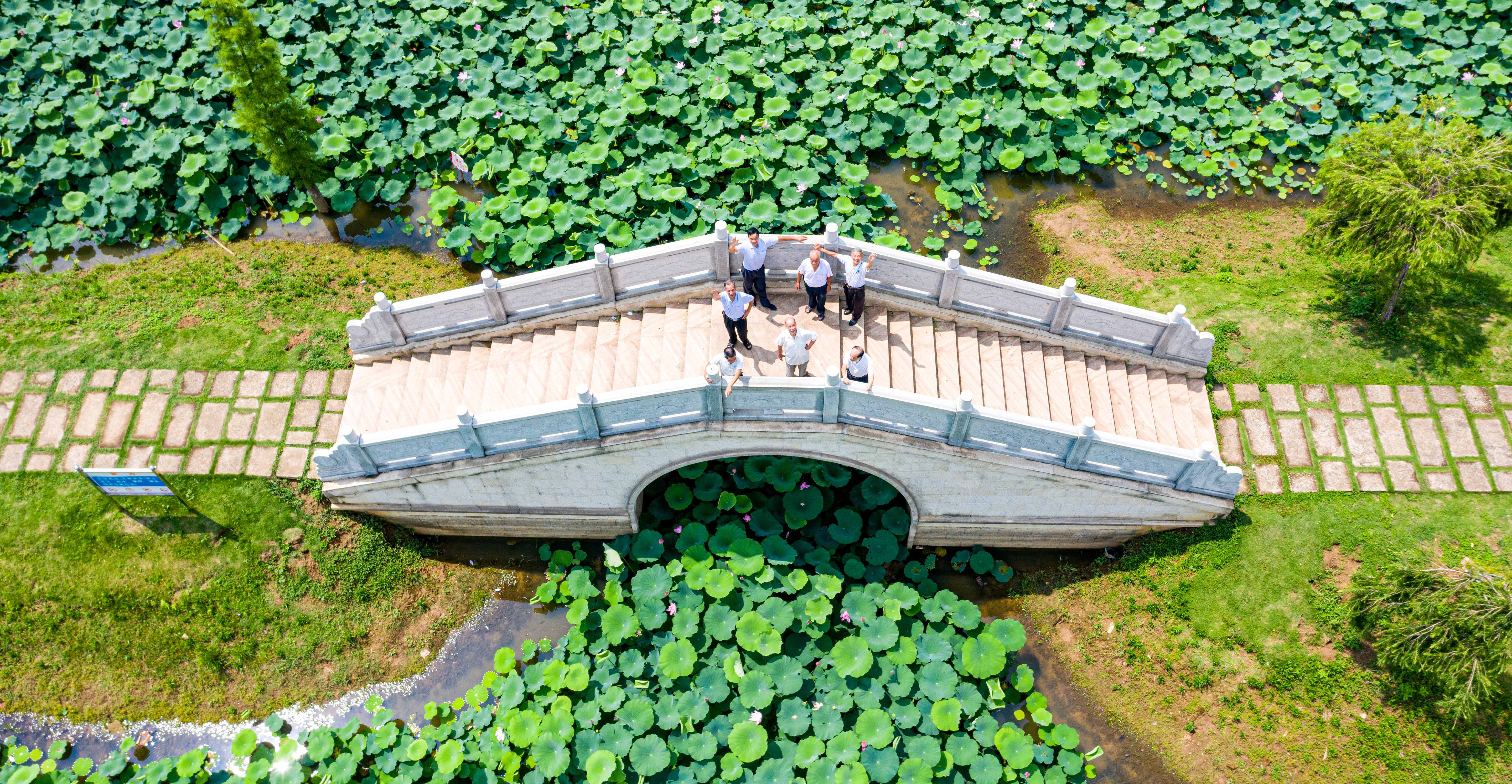 东凤镇穗成村和穗湿地公园风光