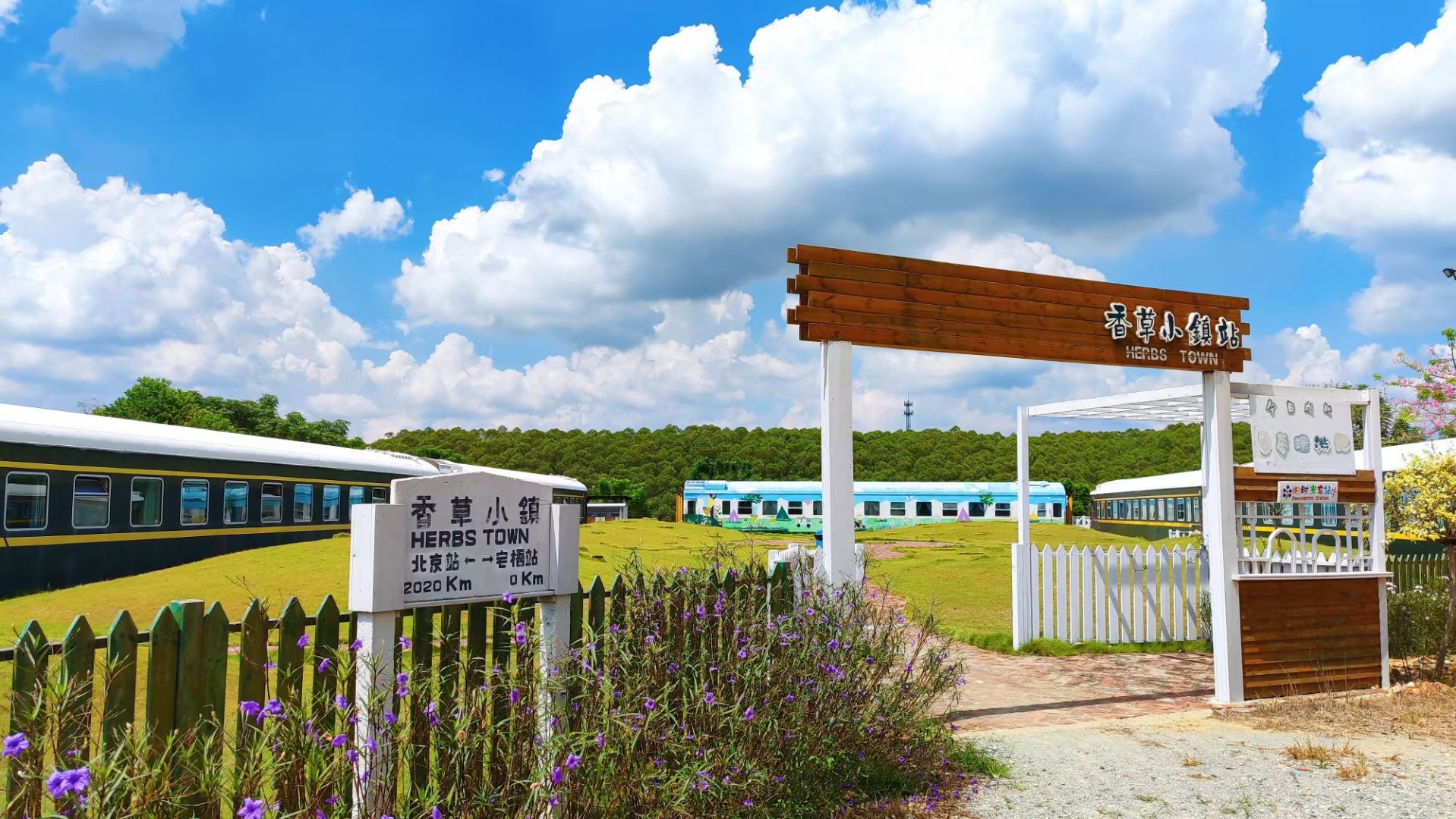 以香草种植、采摘和观光产业为重点，依靠得天独厚的自然地理环境，助力打造一镇一特色旅游产业。图片来源：鹤山市香草小镇