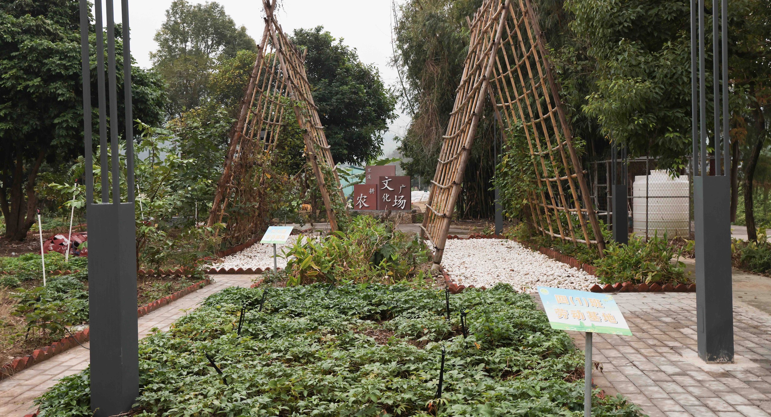 裡溪村利用閑置用地打造小菜園