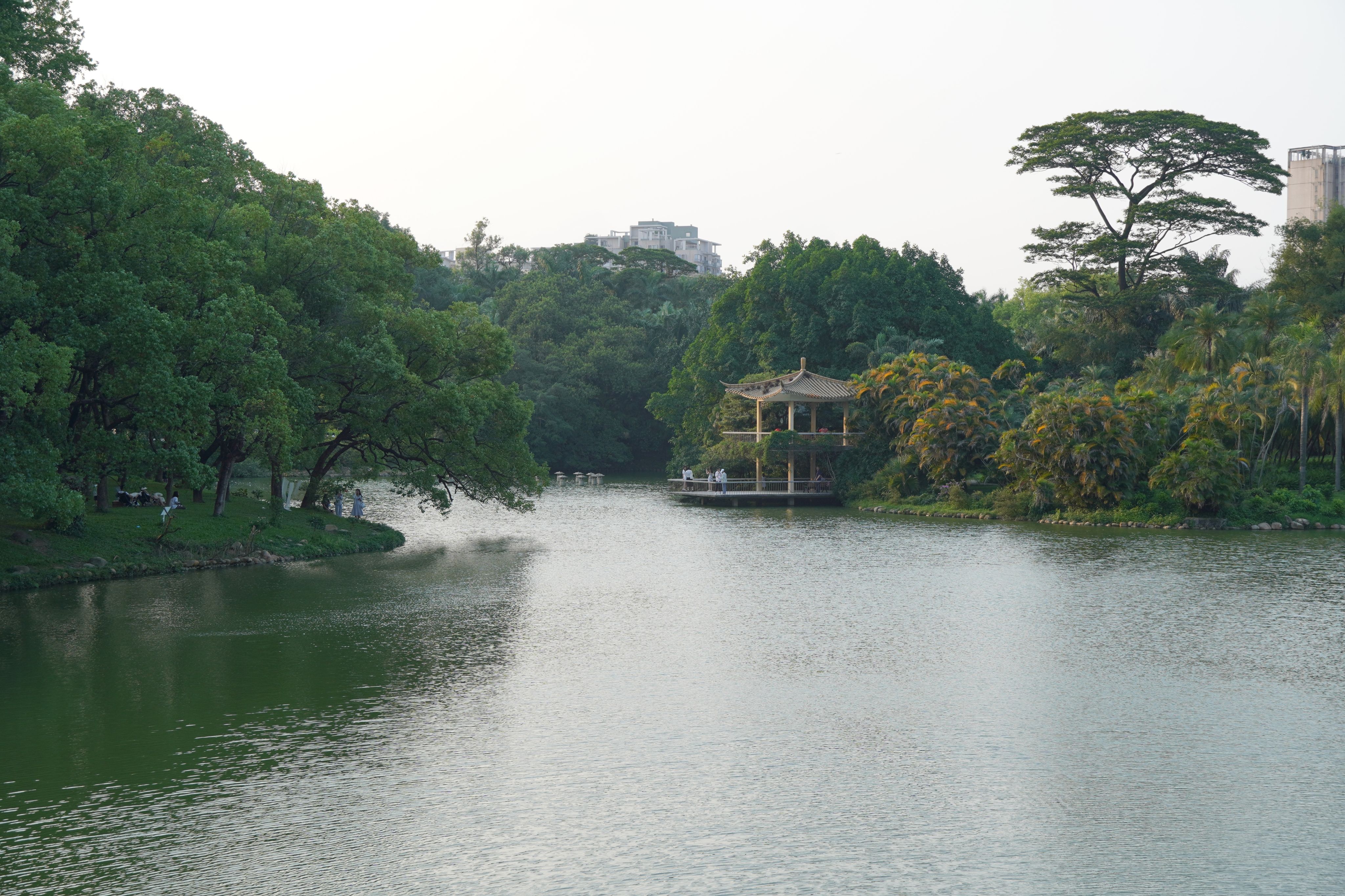 夏日的華南國家植物園，書寫人與自然和諧共生的美好畫卷。王雅蝶 攝