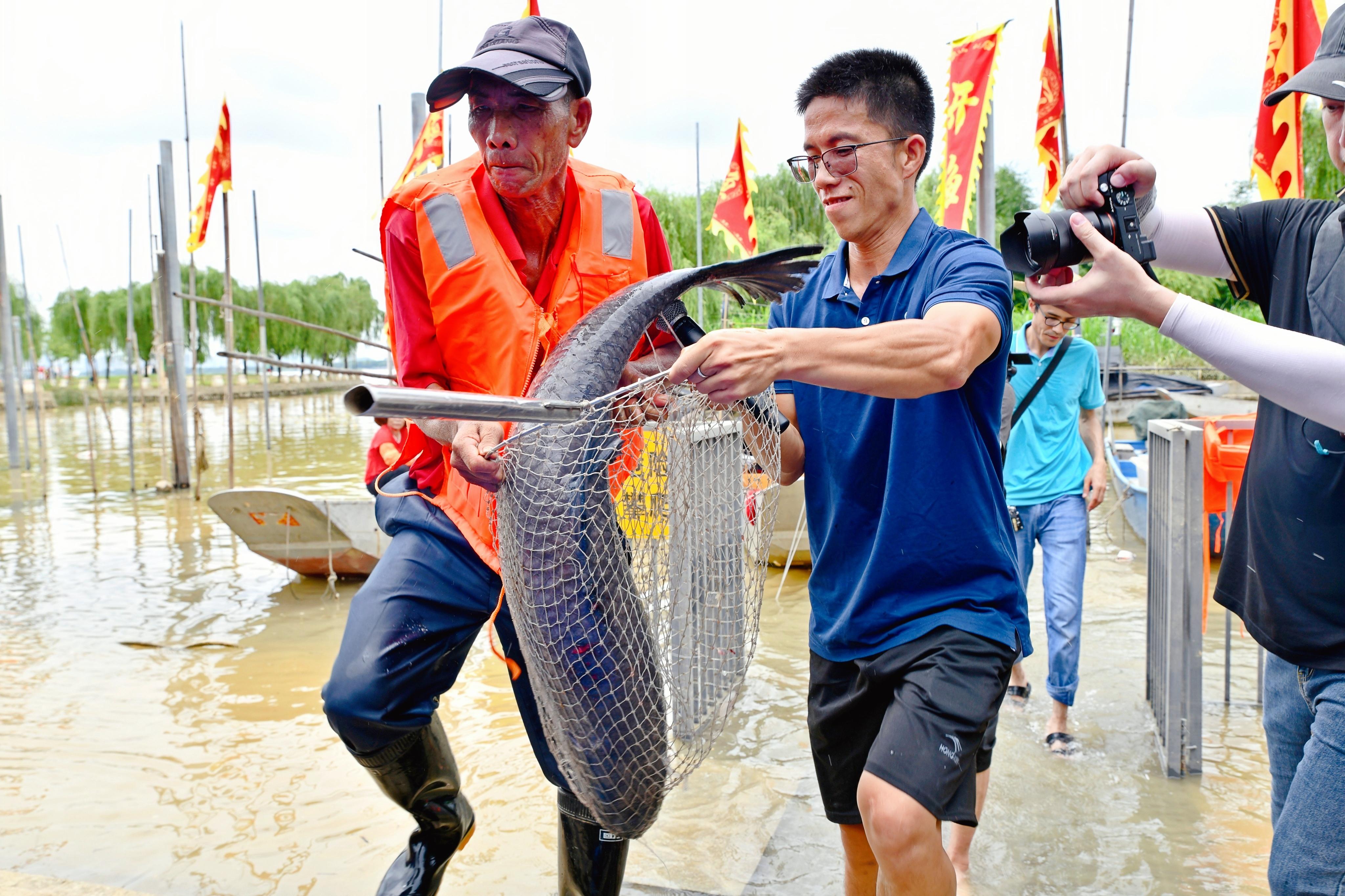 漁民“養叔”捕撈到超30斤的巨型青魚。佛山市南海區九江鎮宣傳文體旅游辦供圖