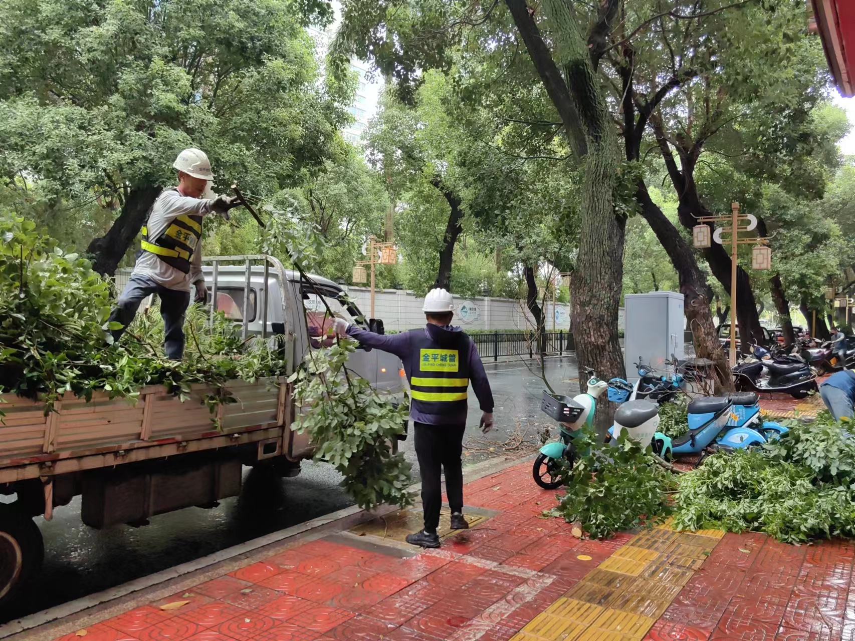 汕头市做好应对极端天气的树木安全管理工作。汕头市金平区城管局供图