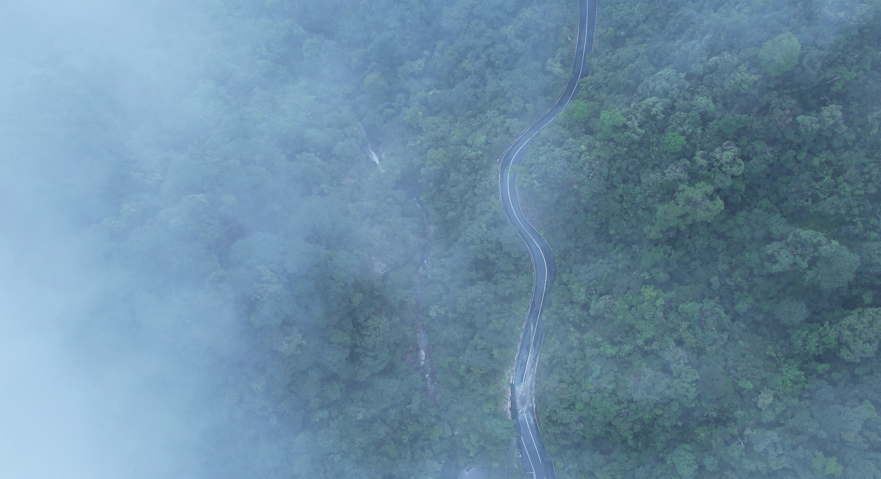 雲霧中蜿蜒的山路。朴馨語攝