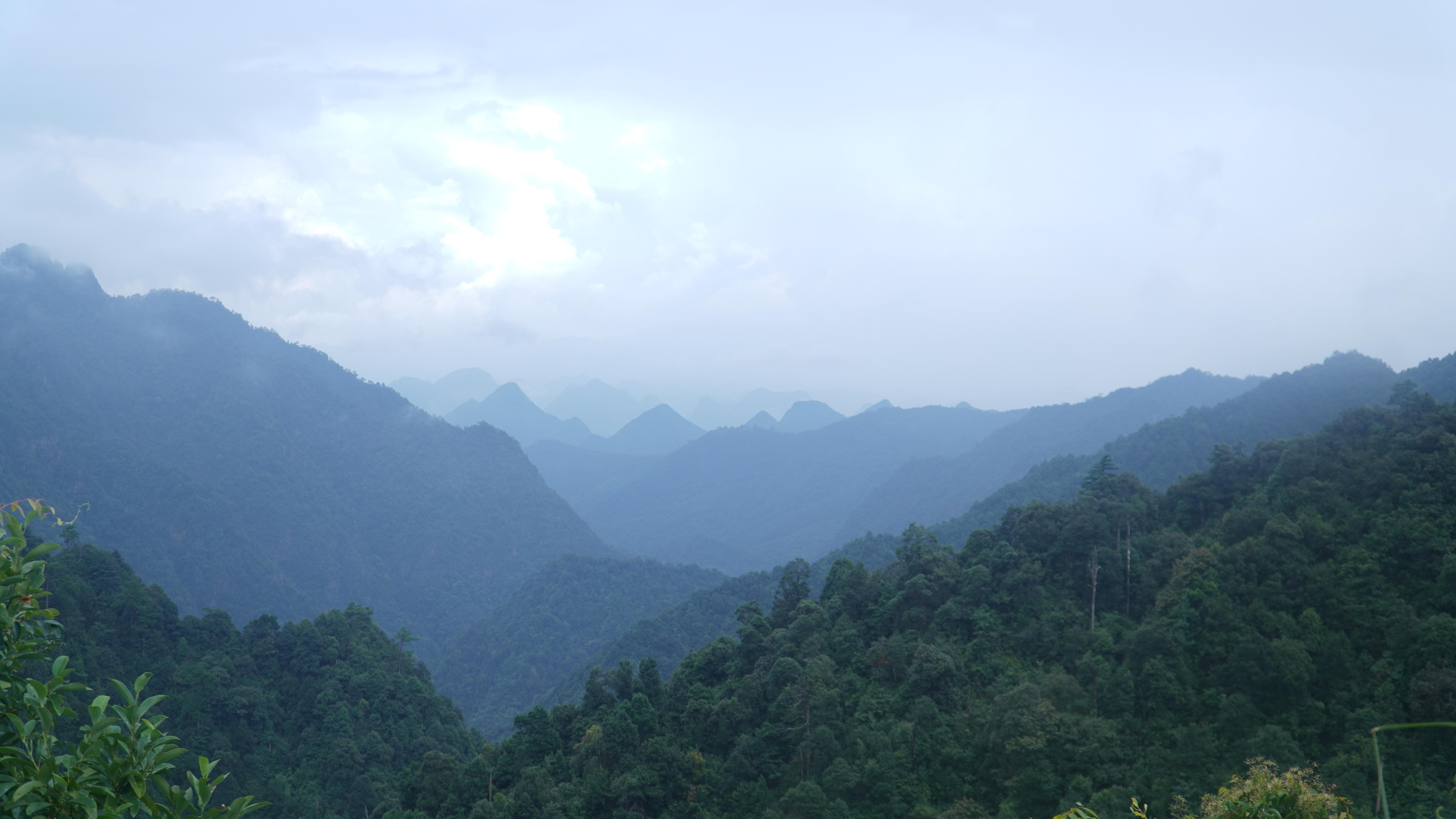 廣東南嶺國家級自然保護區群山環繞。朴馨語攝