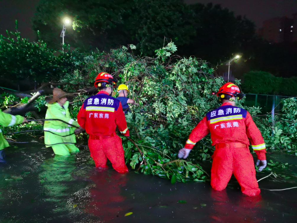 疏散营救3432人！广东多地迎极端强降雨