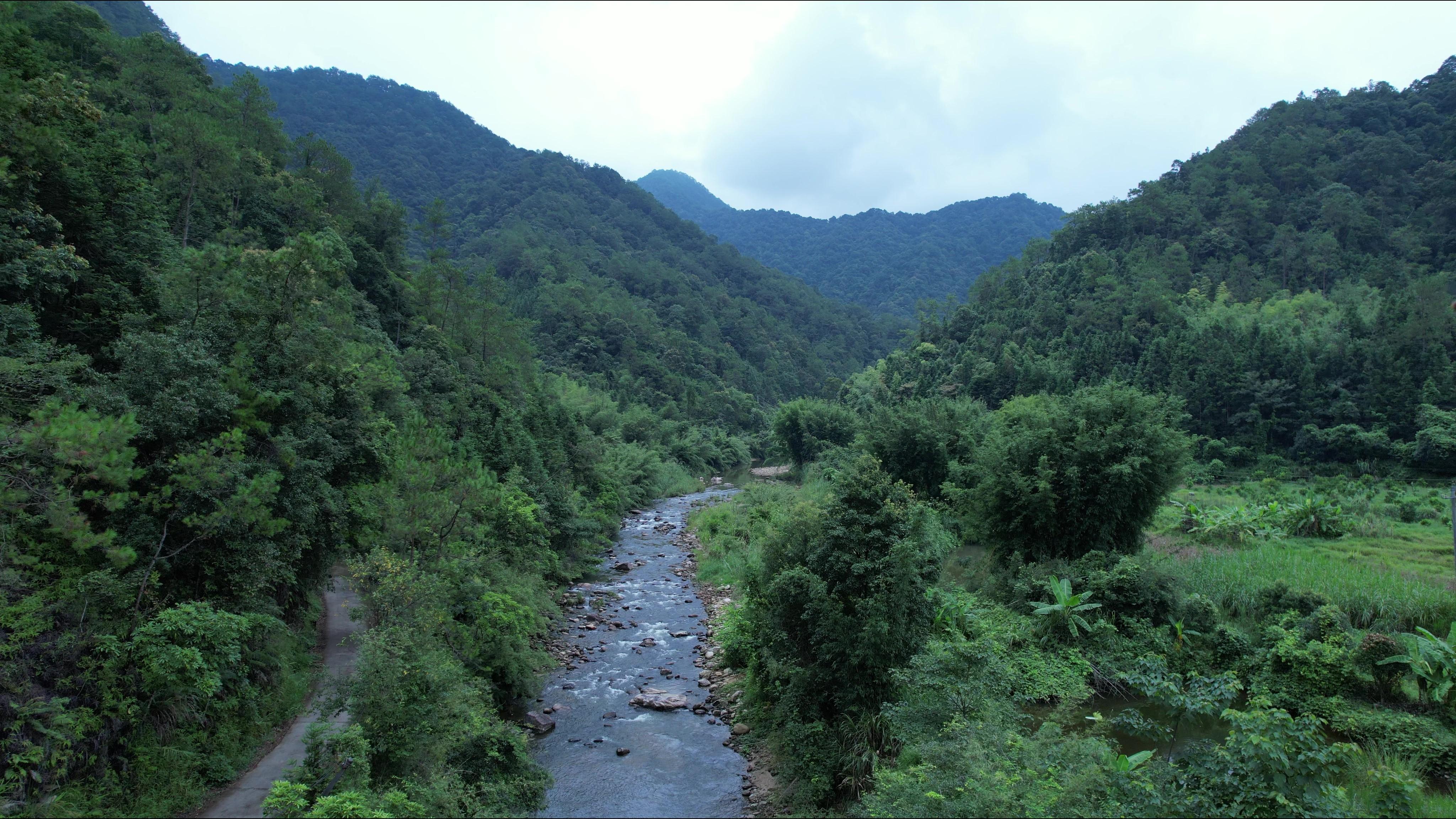 鳄蜥野外主要栖息地（示例）。朴馨语摄