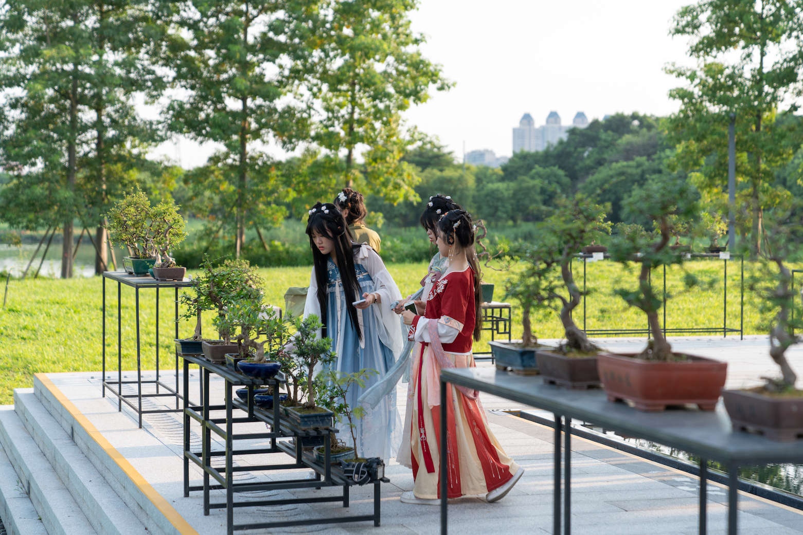 广州市文化馆推出“岭南盆景传承展”，引入岭南盆景150盆。广州市文化广电旅游局供图
