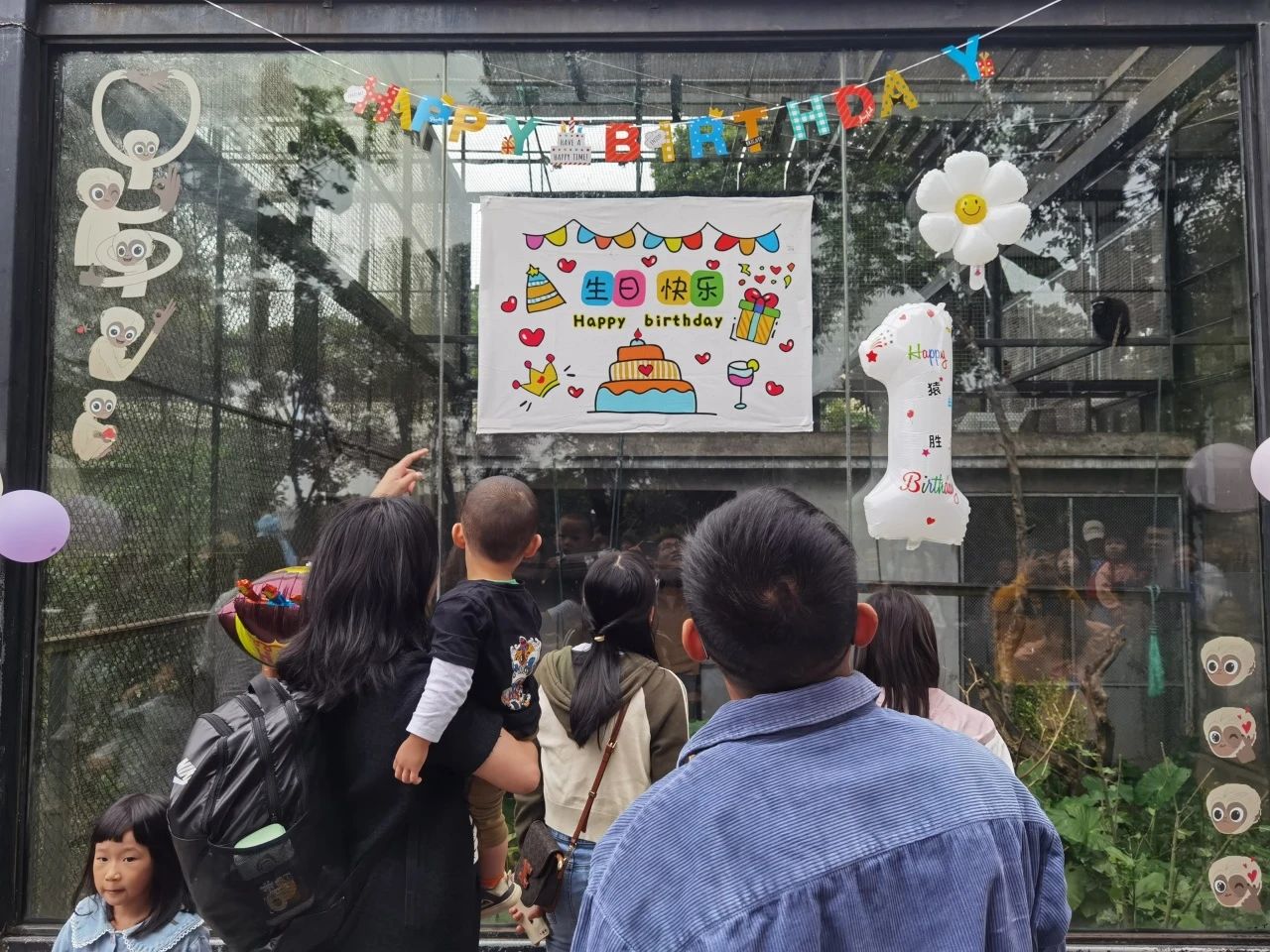 人们来为小长臂猿庆生。广州动物园供图