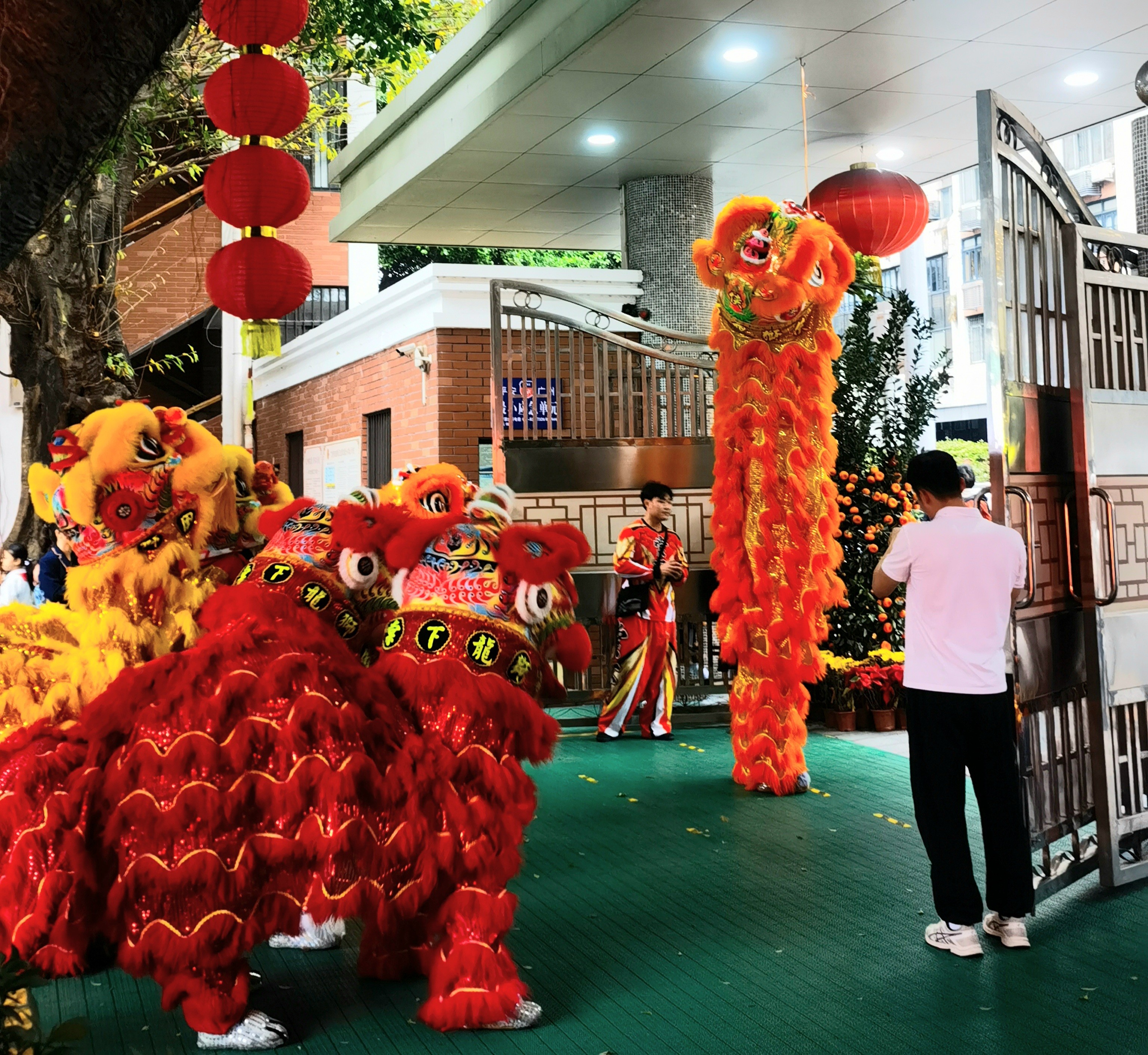 醒獅舞動送吉祥。廣州市越秀區小北路小學以醒獅表演迎接學生回歸校園。小北路小學供圖