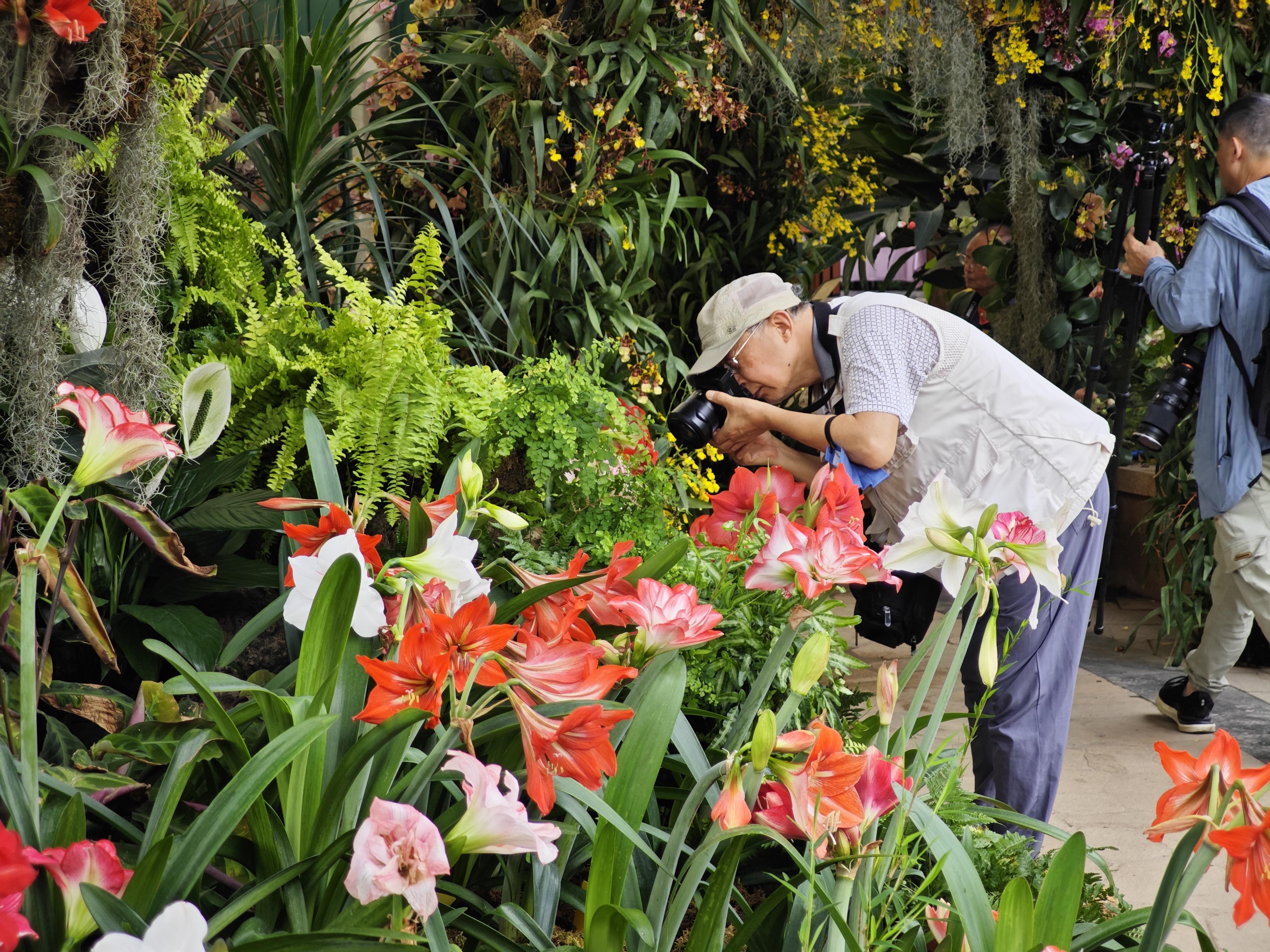 賞花拍花漸漸成為退休居民的興趣首選。人民網 朴馨語攝