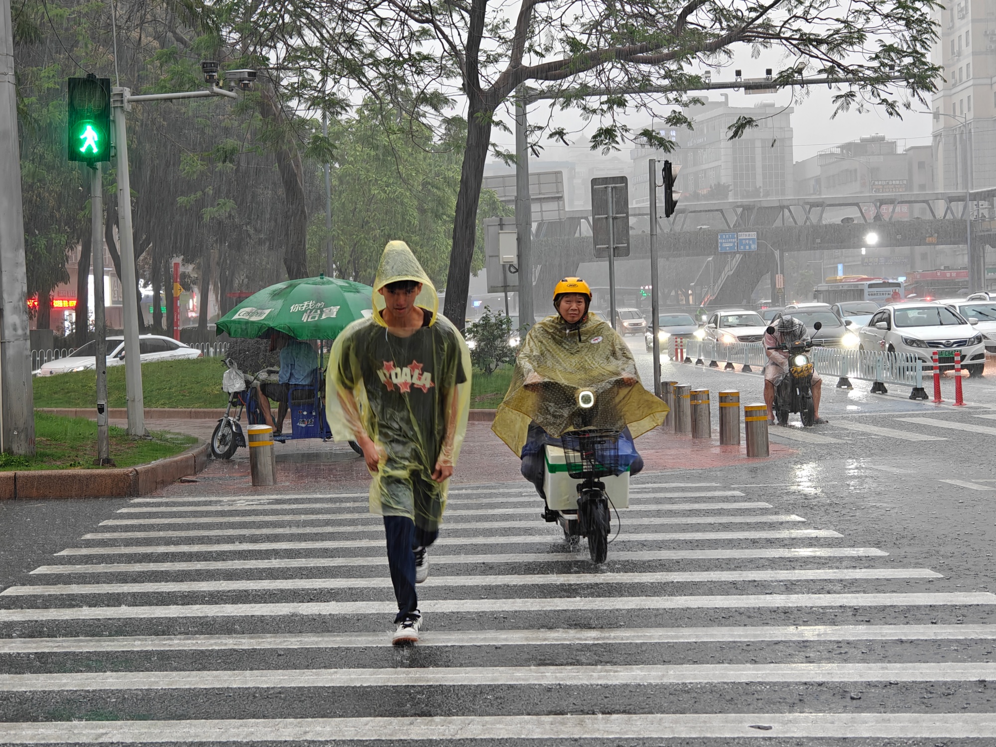 4月20日白天，强降雨来袭，广州街头。人民网 王雅蝶摄