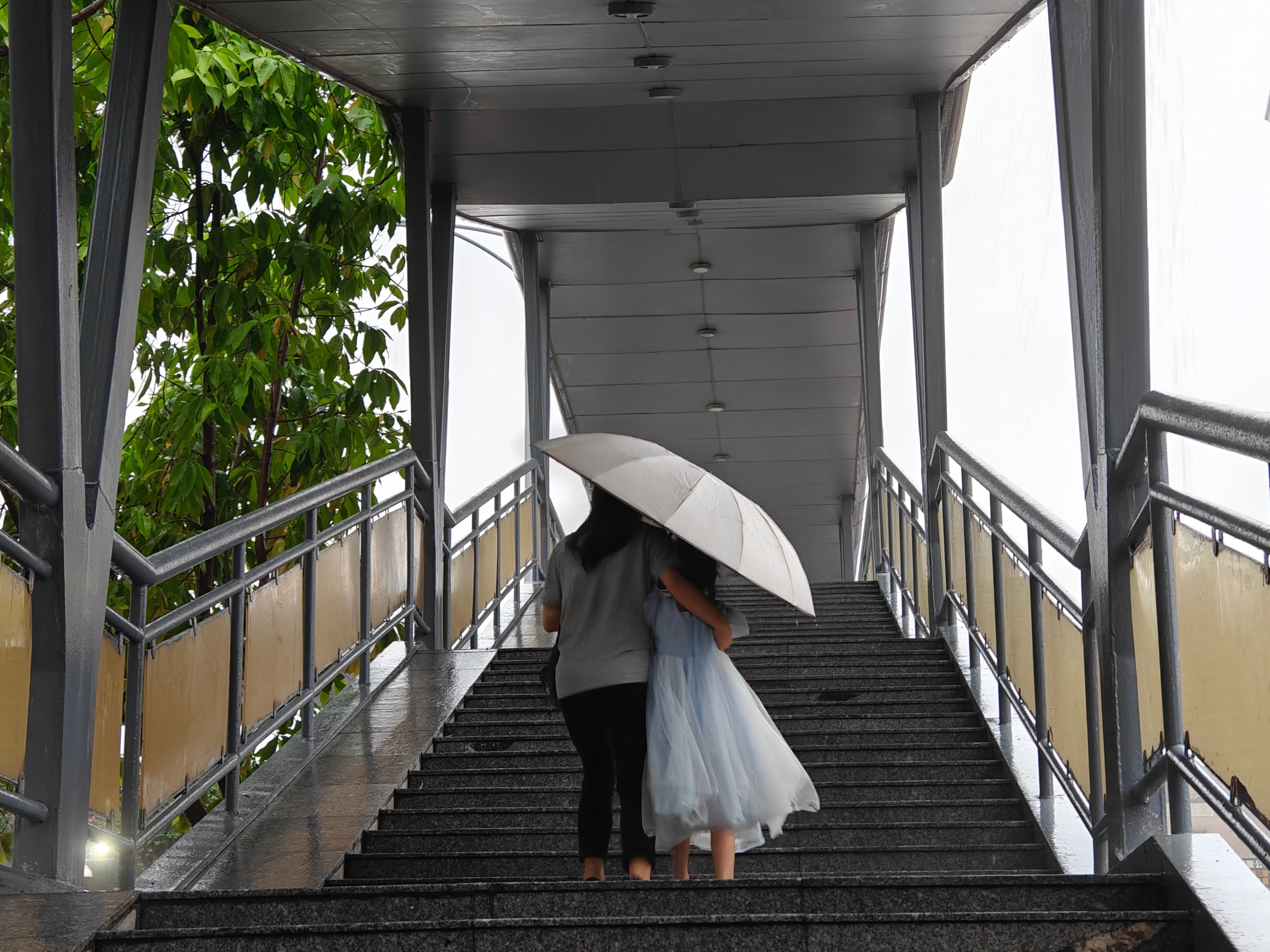 4月20日白天，强降雨来袭，广州街头。人民网 王雅蝶摄