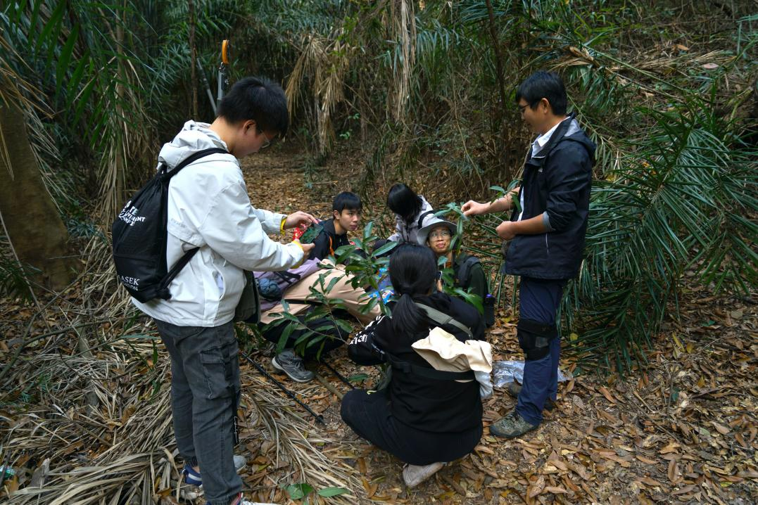 凡強副教授帶領學生在丹霞山無人區進行植物調查。丹霞山管委會供圖