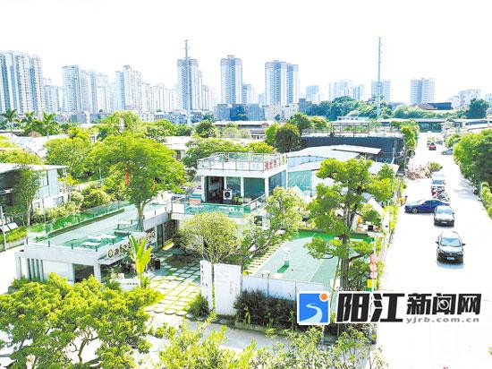 江台路的勤力牛花卉综合体，园区内绿树成荫、花香四溢。陈建华摄