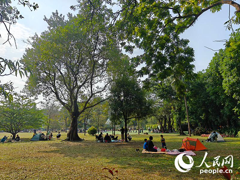 2024年1月7日，位於廣東廣州的華南國家植物園，市民攜親友出行，享受戶外時光。人民網 王雅蝶攝