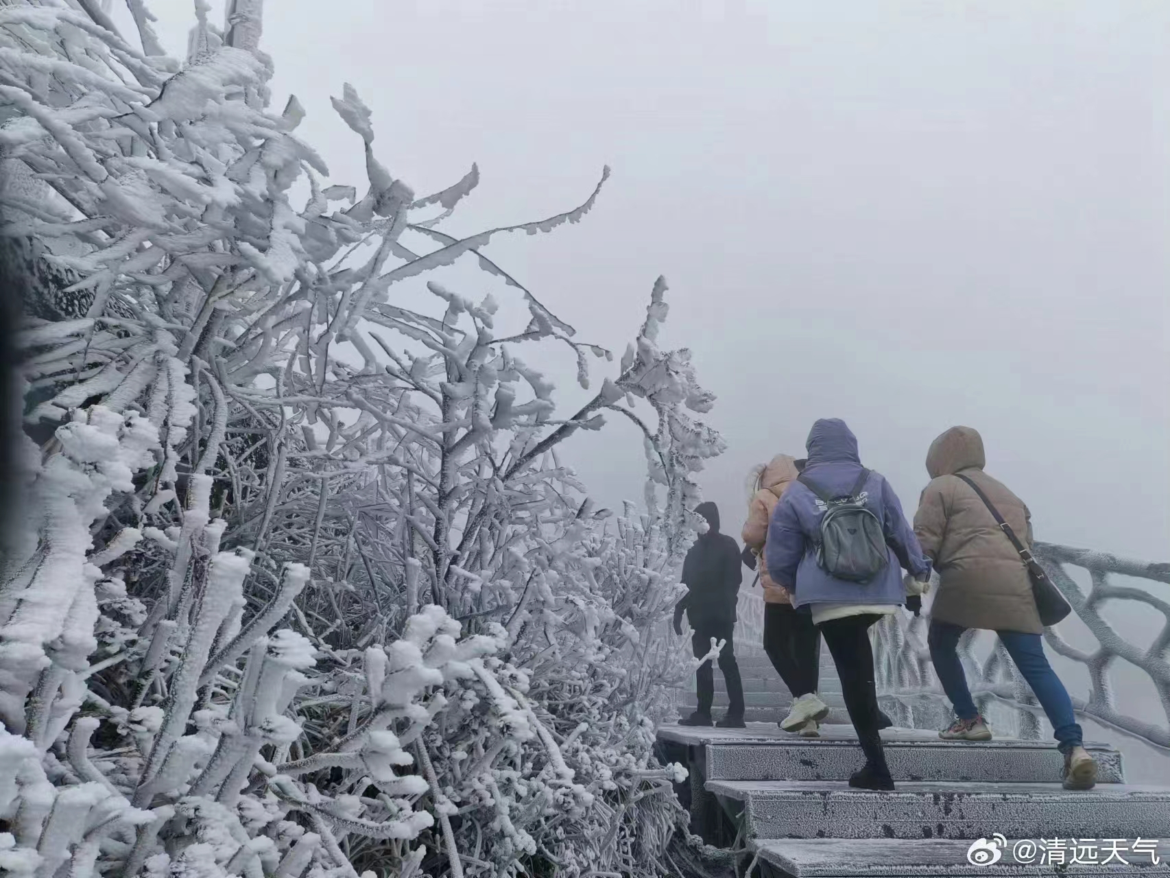 廣東省清遠市雪景。（資料圖）圖片來源：清遠市氣象局官方微博