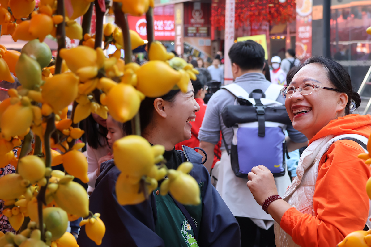 市民精心挑选年花。人民网 何善福摄