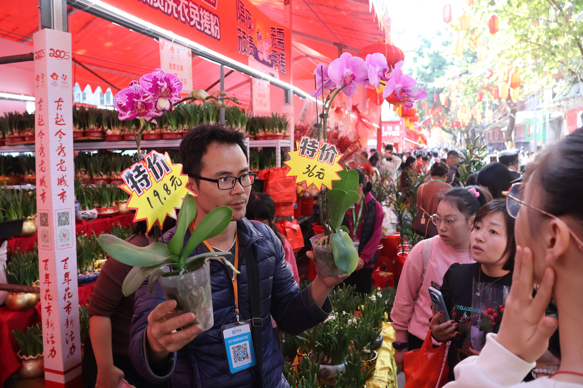 檔主熱情洋溢地高舉兩盆盛開的年花，向過往的市民展示自家培育的花卉。人民網 何善福攝