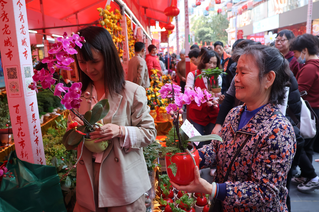 市民表示，过年家里摆鲜花，既喜庆又有好寓意。人民网 何善福摄