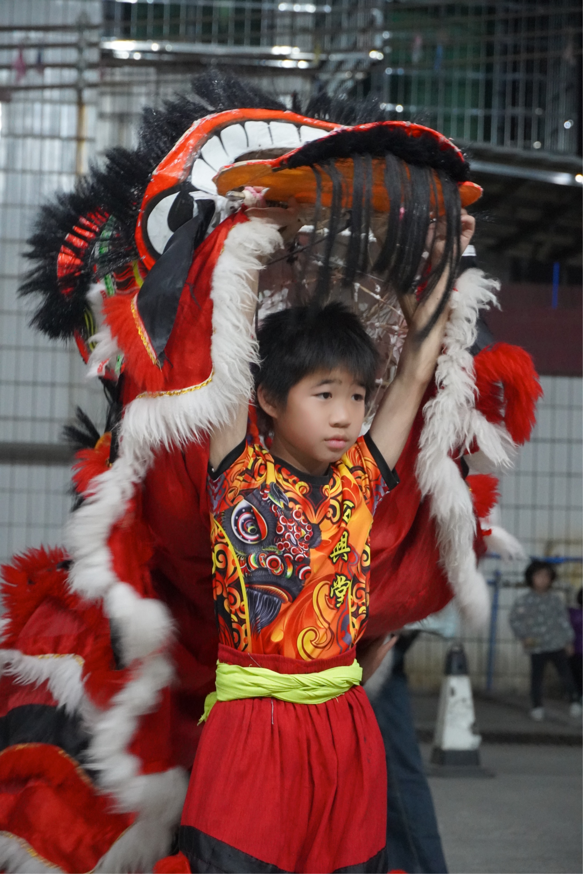 蛇年春节将至，广州市白云区人和镇，南兴合兴堂醒狮队队员练习醒狮表演。实习生 王玫叶摄