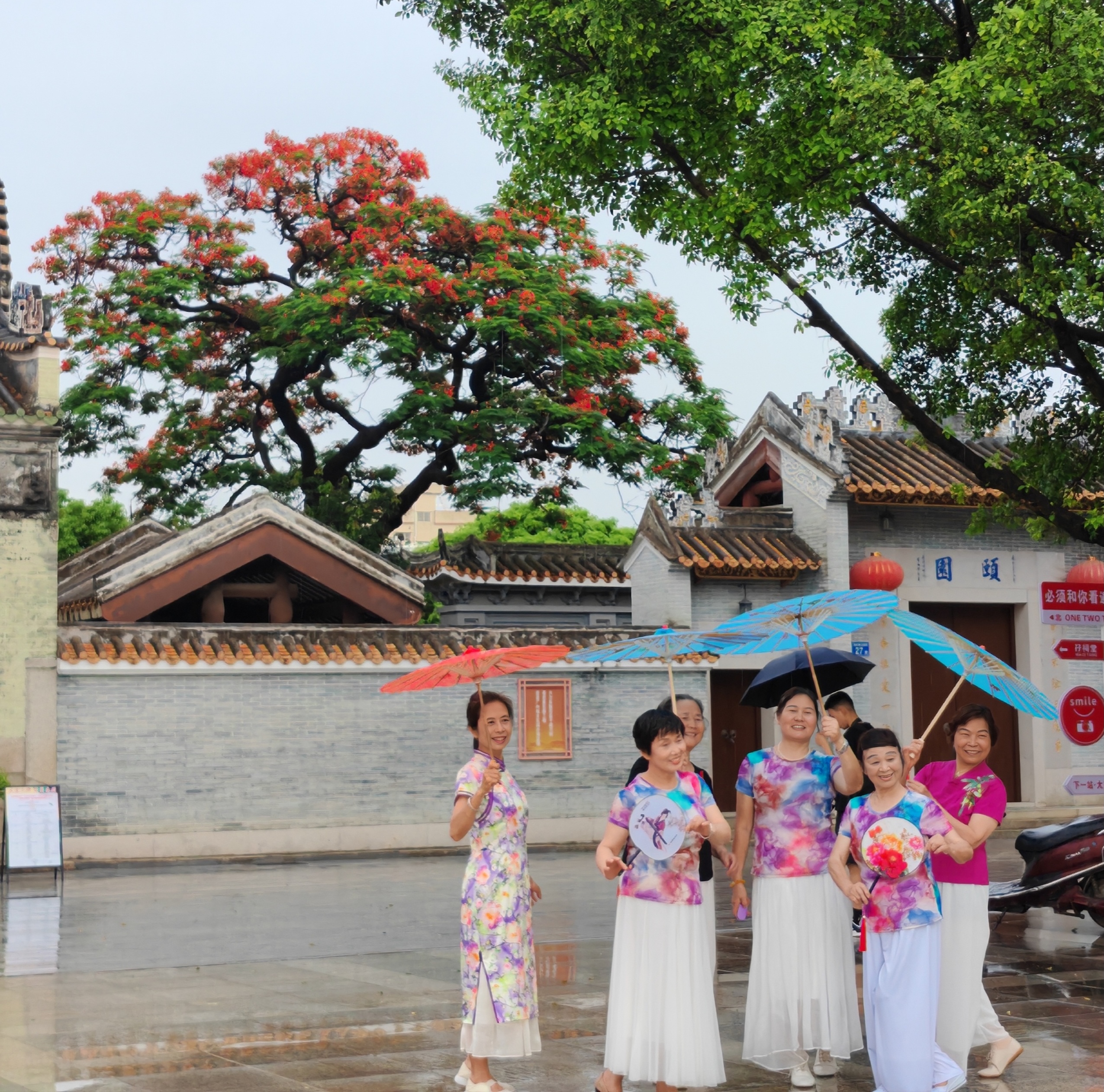 下雨天，游客们撑起应景的雨伞、穿着鲜艳的服饰前来与凤凰木合影。人民网 宁玉瑛摄