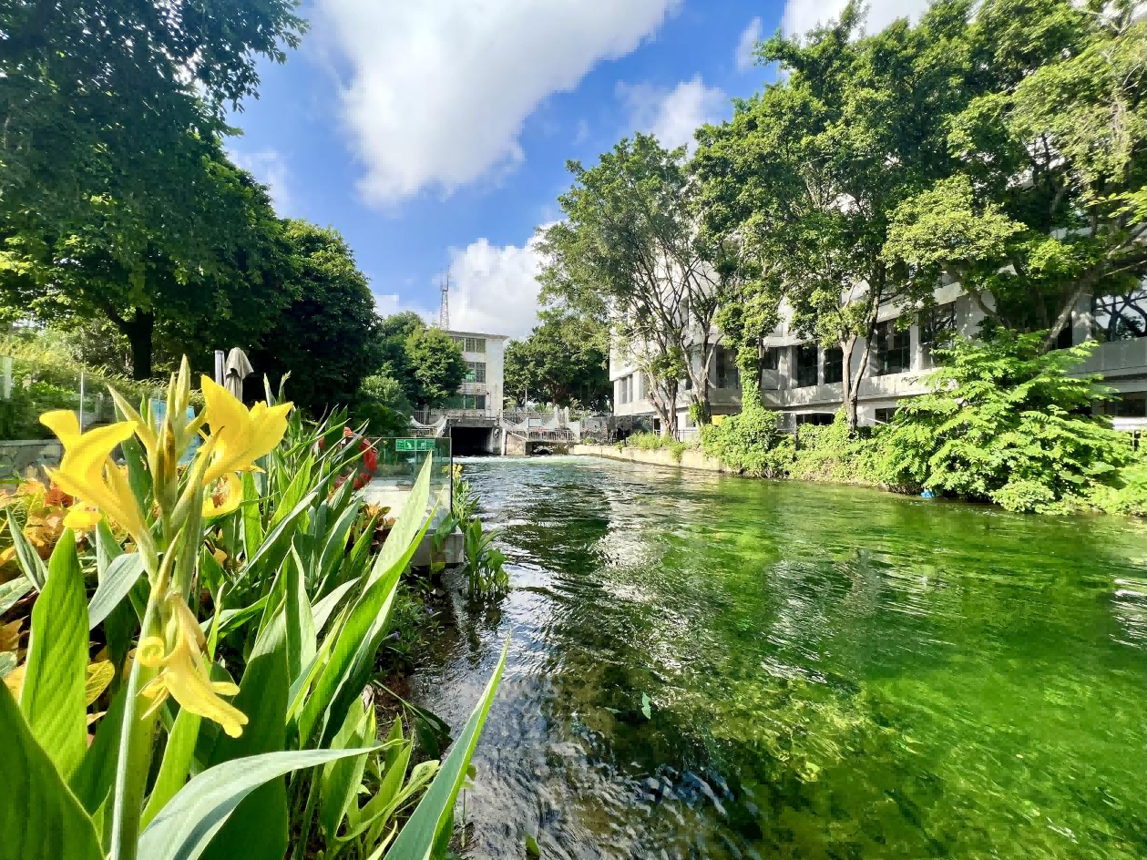净化后的出水补充到二围涌后，河流清澈见底。广州沥滘净水厂供图