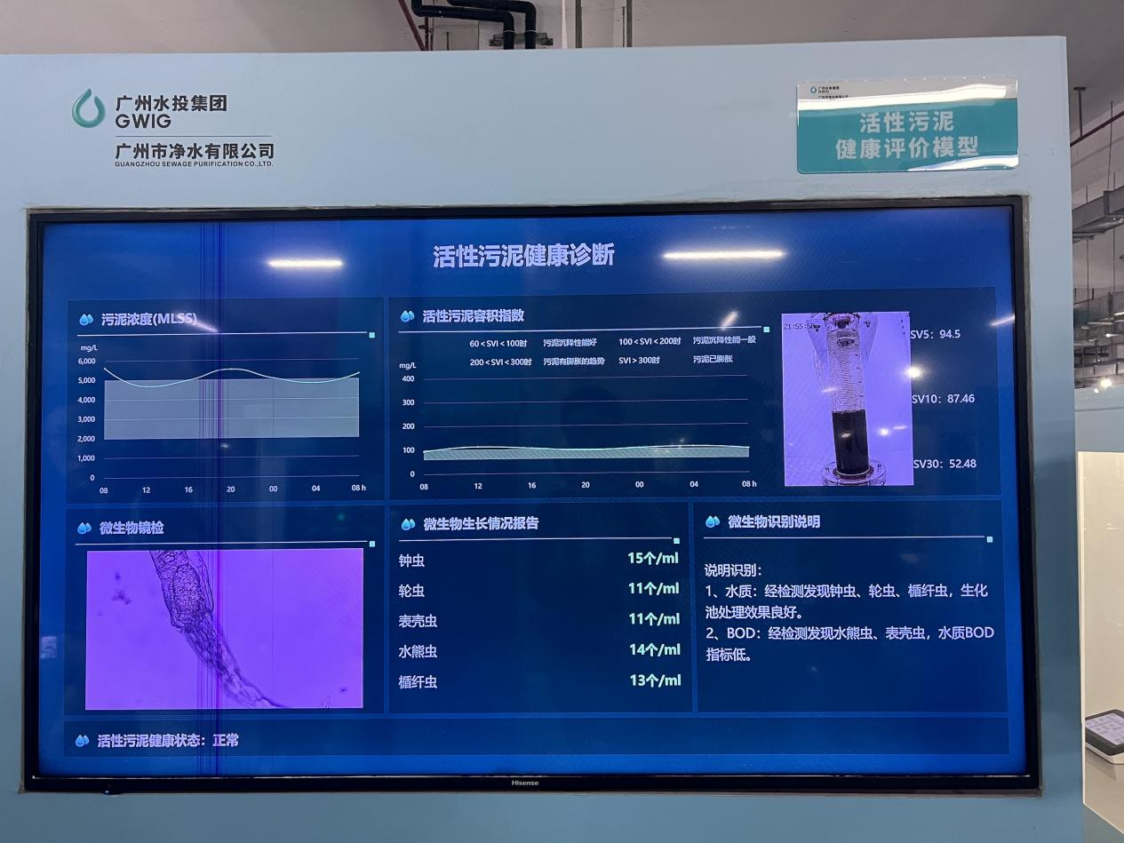 沥滘净水厂地下处理车间，活性污泥健康评价模型正通过显微镜及数字化技术，实时报告微生物生长情况。人民网 蔡睿智摄