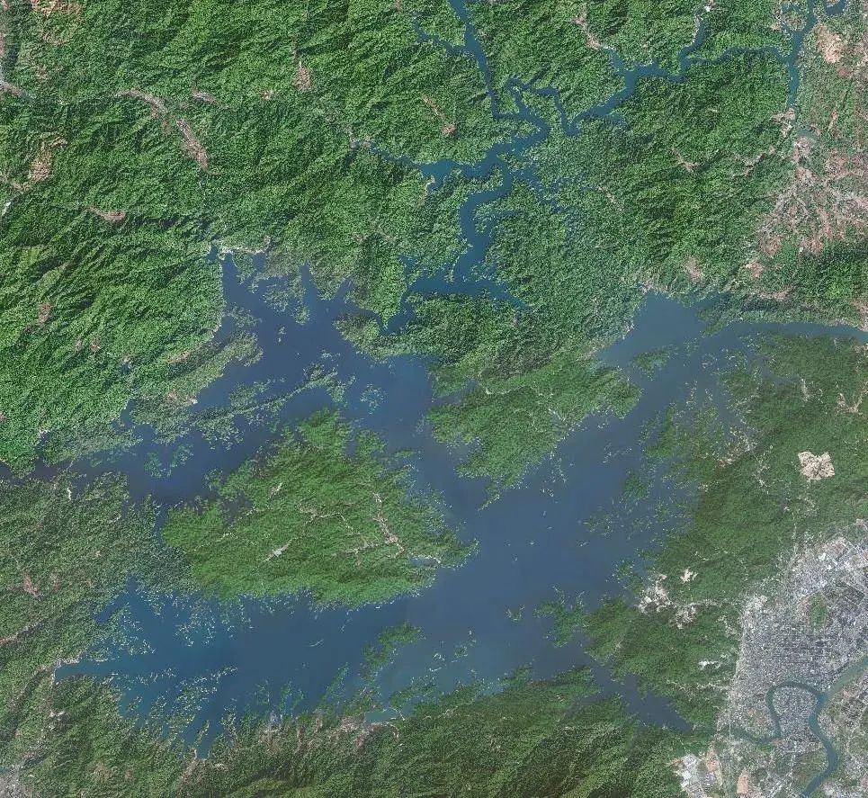 万绿湖是华南最大的人工湖
