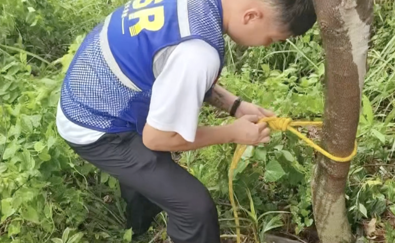 搜救人員用繩索綁在樹上，往山坡下探索。多方救援力量上山尋找走失女童。潮安融媒供圖