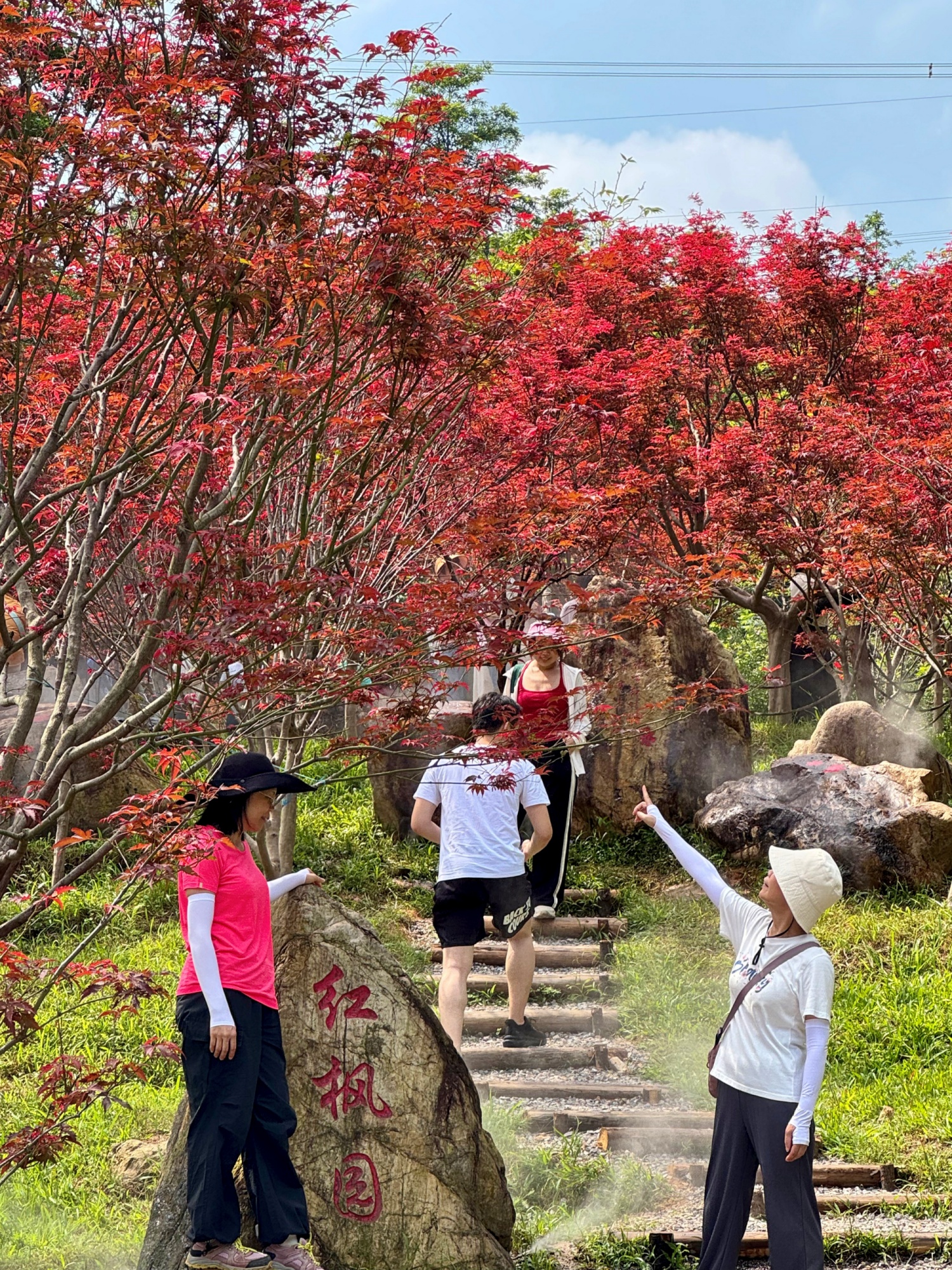 游客在红枫园“打卡”秋天的色彩。广州市帽峰山景区管理中心供图