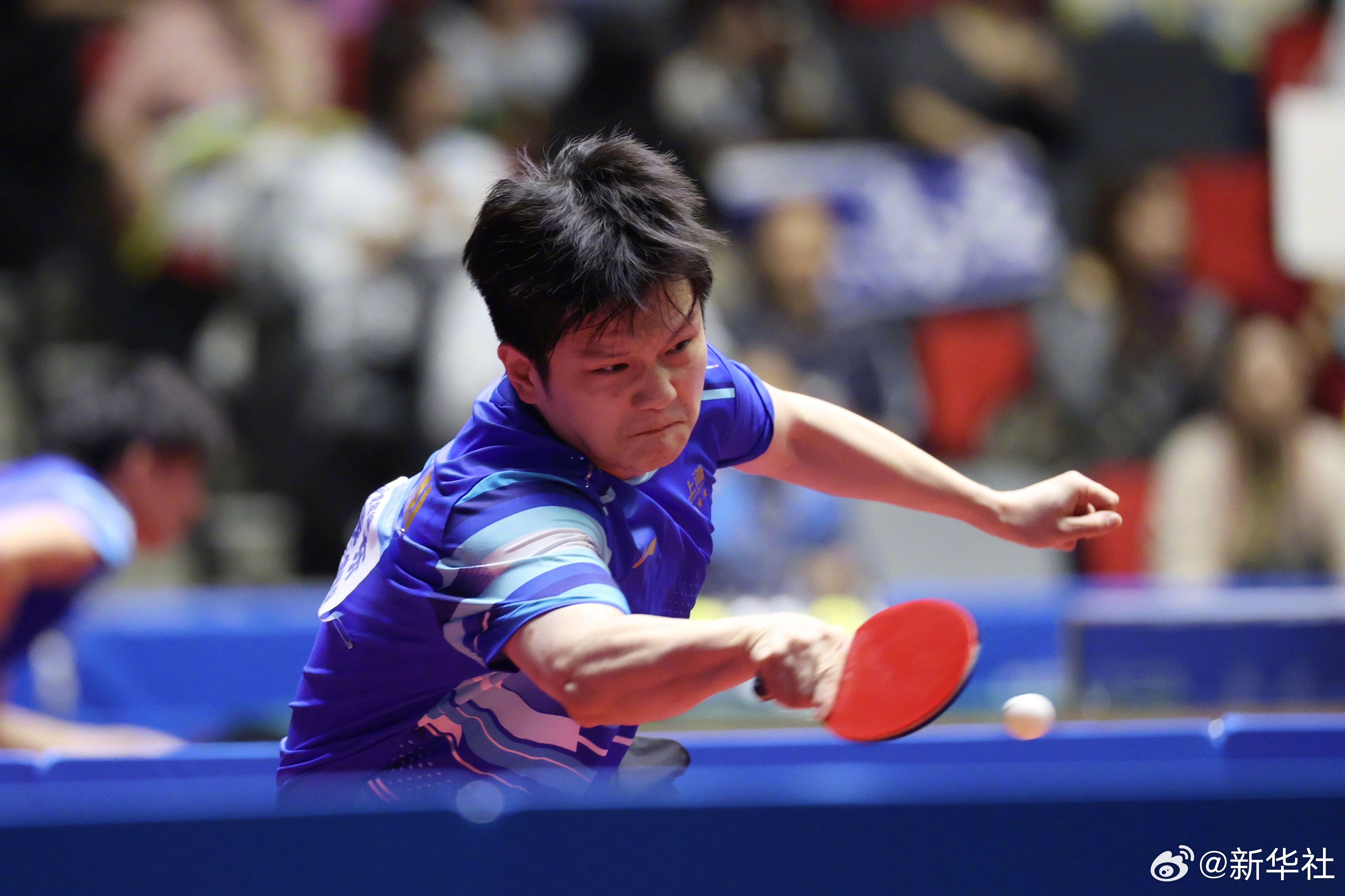 11月13日，第十五届全国运动会乒乓球项目在澳门银河综艺馆展开男单1/4决赛的争夺，上海队的樊振东战胜浙江队的孙正，晋级男单四强。图片来源：新华社 
